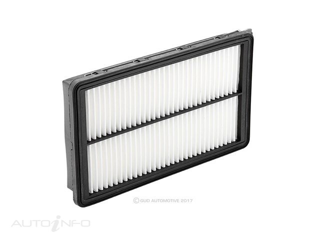 RYCO AIR FILTER