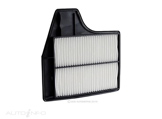 RYCO AIR FILTER