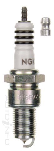 NGK SPARK PLUG
