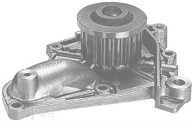 PTX WATER PUMP GOLD
