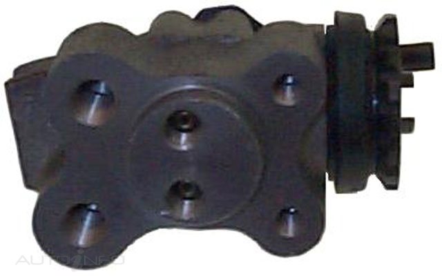 PTX W CYL ASSY
