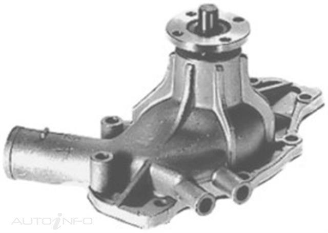 PTX GOLD WATER PUMP
