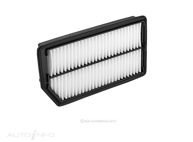 RYCO AIR FILTER