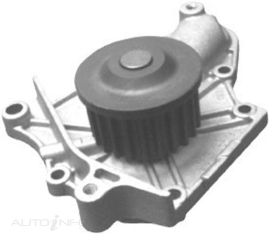 PTX GOLD WATER PUMP