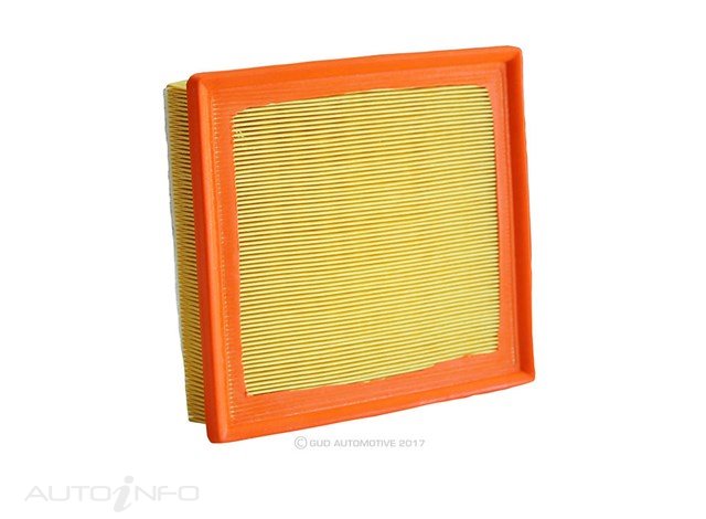 RYCO AIR FILTER