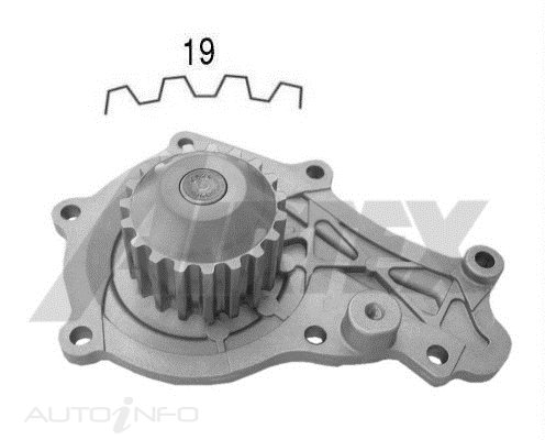 PTX WATER PUMP CITROEN
