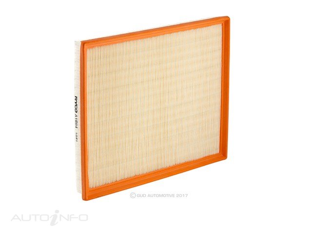 RYCO AIR FILTER
