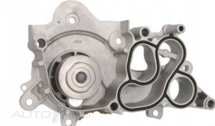 PROTEX WATER PUMP