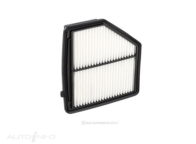 RYCO AIR FILTER